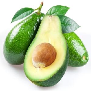 Fresh avocados with the best price Hot sales