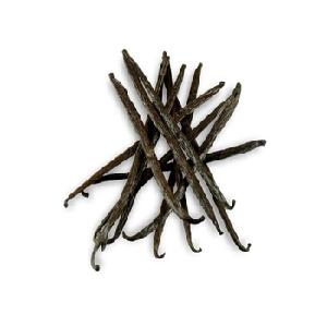 Best Quality Vanilla Beans Available At good price