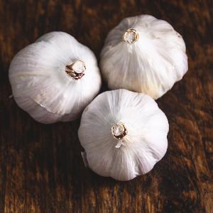 Whole Sweet High Quality Garlic wholesale Normal White fresh garlic