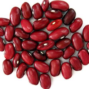 Wholesale Dried Small Dark Red Kidney Beans Price