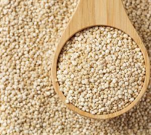 Organic Quinoa