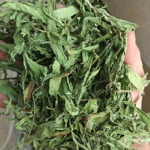 2018 Natural sweet tea Stevia dry leaves In Sale