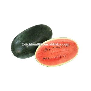 Touchhealthy supply oval shape.9-16 kg per fruit watermelon hybrid seeds 10gram/bags