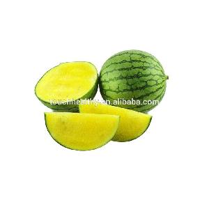 Touchhealthy supply High Disease resistant Seedless Watermelon hybrid seeds for sowing 10gram/bags