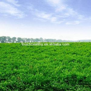 supply most eating a variety of livestock forage alfalfa lucerne seeds
