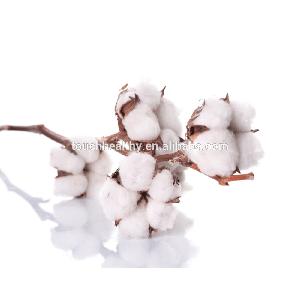 Big and fat leaf,Strong growth plant ability best cotton seeds 500gram/bags