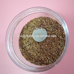 Touchhealthy supply Best selling alfalfa  sprout ing  seed s with best quality