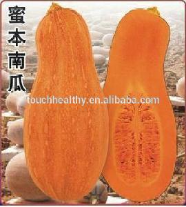 Touchhealthy supply Stock quality chinese vegetable seed/wholesale pumpkin seeds THS314 WITH 20 seeds/Bag