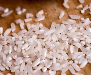 Wholesale Price Thai Long Grain White Rice 5%,10% DELICIOUS ROUND GRAIN CALROSE /JAPONICA/SUSHI RICE