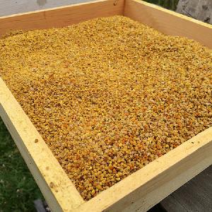 Bee Pollen