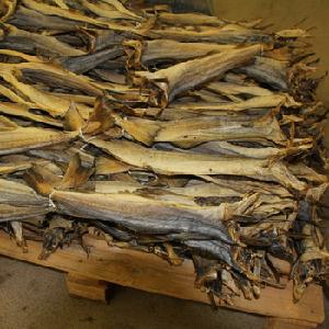 Whole Dried Smoked Stock Fish For Sale