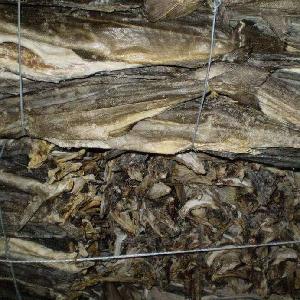 Dry Stock Fish ,Smoked Catfish,Dried Anchovies and others available