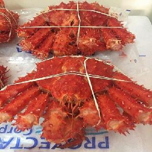 Crab ,Red King Crab ,Live and Frozen Red king crab