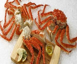Fresh/Frozen/Live Red King Crabs, Soft Shell Crabs