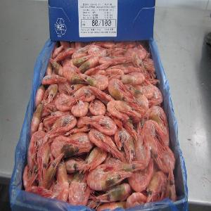 Wholesale Hot selling  shrimp  vannamei and  black   shrimp s
