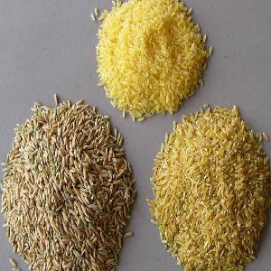Certified Extra Long Grain 1121 Basmati - parboiled rice