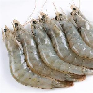 White Shrimp / Fresh Frozen White Vannamei For Sale