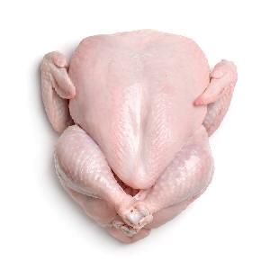 Brazil Best Halal Whole Frozen Chicken For Export / Chicken breast , Chicken Legs,