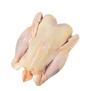 Brazil Frozen HALAL Whole Chicken / Breast / Quarters / Drumsticks / Wings / Feet / Paws /
