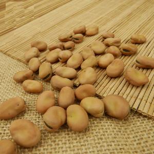  Dried   Broad   Bean s Fava  Bean  Faba  Bean  with Good Price