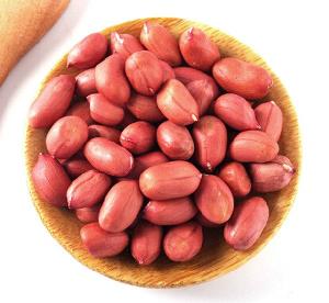 Rich Quality Widely Used Peanuts from Nuts & Kernels Exporter
