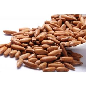 Pakistan Best Quality Pine Nuts In Shell