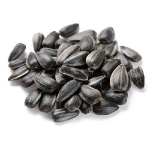 High Quality in sale  Hulled   sunflower  seeds kernels / Organic White  sunflower  seed kernel