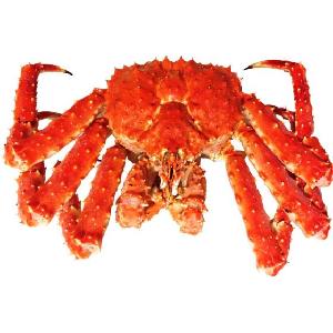 Live Red King Crabs/LIVE Russian king crab