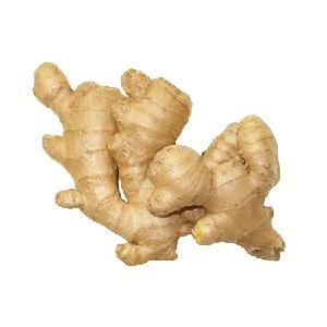 Fresh Spicy Ginger 80g 100g 150g 200g 250g up