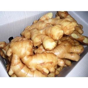 fresh ginger price yellow ginger / Thailand fresh ginger / organic fresh ginger
