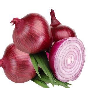 Fresh Onion Red & White /Redish pink natural big size ONION 50MM