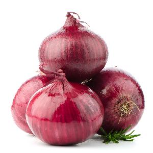 fresh shallot onion