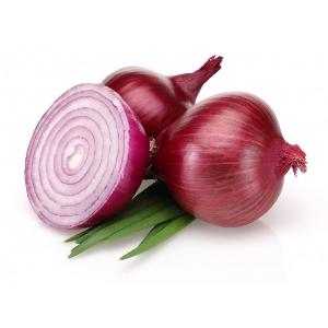 Fresh Indian Big Onion