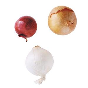 Certified Indian Fresh Red Onion