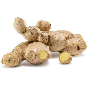 Wholesaler fresh ginger