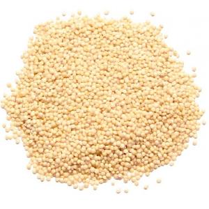 Best Selling Premium Wholesale Bird Feed Seeds Of Ukrainian origin White Sorghum for Birds Food