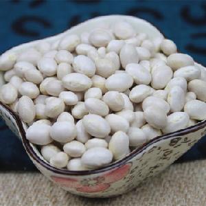 New Crop Natural Dried White Kidney Bean for export