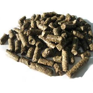 Beet Pulp Whole Sale