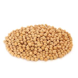 Bulk stock Soyabean/Soybean and soyabeans meal for sale