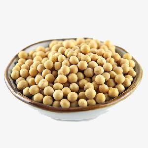 GMO Soybean SBDM For Making Animal Feed