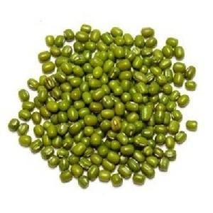Wholesale Premium Agriculture Organic Dried Green Mung Bean