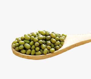 Green mung bean price 2.8-4.0mm HPS on hot sale with good manufacture