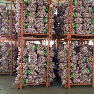 fresh ginger and garlic 5.5 cm Factory Pure White Fresh Garlic Price/ bulk garlic for sale