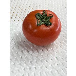 natural healthy canned tomatoes