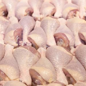  frozen   whole   chicken  for  sale  with 40% discount for Bulk / International Buyers