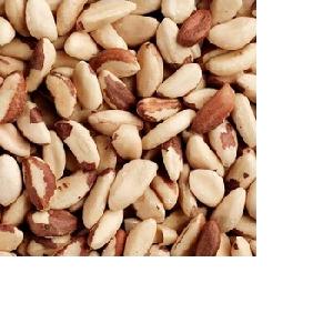 Cashew Nuts WW320 Dried CashewNut/ Cashew Nuts W180 W240 W320 W450/ Vietnam Certified WW320 Dried Cashew