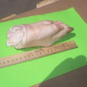 Frozen Pork Feet Front