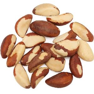 Raw  Cashew   Nuts /  Cashew  Kernel/  Cashew   Nuts   Vietnam  with Cheap Prices