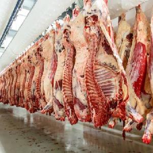 Halal Boneless Meat/ Frozen Beef/cow meat supplier  Brazil Boneless Beef  Buffalo Meat