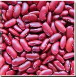 red kidney beans soya beans white and red kidney beans